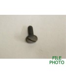 Barrel Hinge / Pivot Pin Retaining Screw - Blue - Replacement